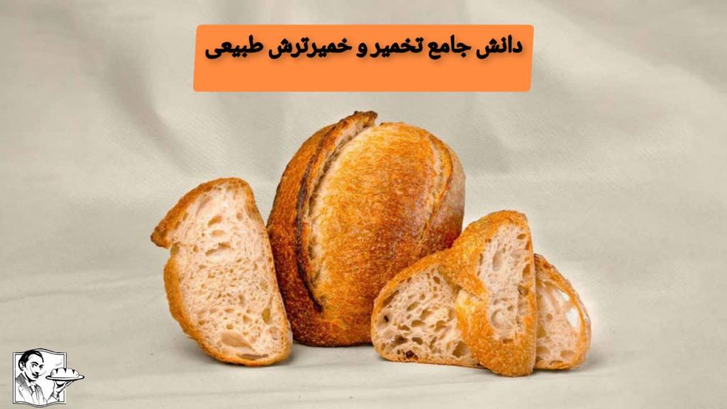 دانش جامع تخمیر و خمیرترش طبیعی؛ از میکروبیولوژی تا تکنیک‌های پیشرفته