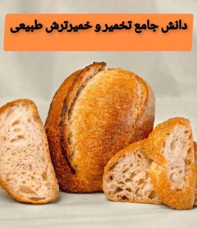 دانش جامع تخمیر و خمیرترش طبیعی؛ از میکروبیولوژی تا تکنیک‌های پیشرفته